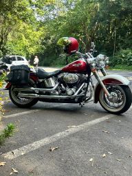 https://img.olx.com.br/thumbs256x256/62/625507144183891.jpg