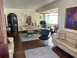 https://img.olx.com.br/thumbs256x256/62/625523759954606.jpg