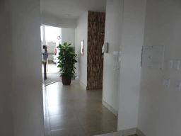 https://img.olx.com.br/thumbs256x256/62/625531768340935.jpg