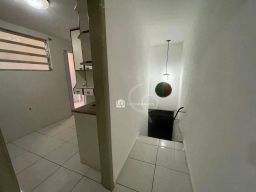 https://img.olx.com.br/thumbs256x256/62/625584767089786.jpg