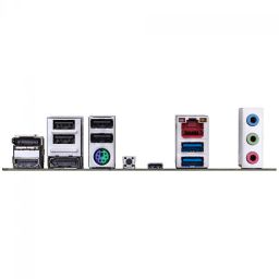 https://img.olx.com.br/thumbs256x256/62/625638503207267.jpg