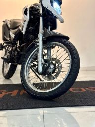 https://img.olx.com.br/thumbs256x256/62/626508037155286.jpg