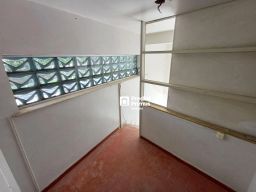 https://img.olx.com.br/thumbs256x256/62/626509163170629.jpg
