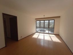 https://img.olx.com.br/thumbs256x256/62/626518166248869.jpg