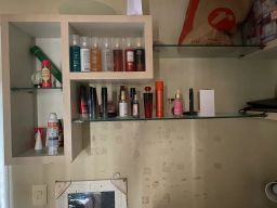 https://img.olx.com.br/thumbs256x256/62/626539279229917.jpg