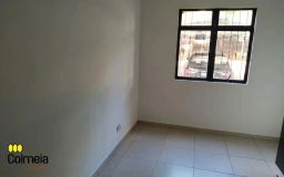 https://img.olx.com.br/thumbs256x256/62/626583153573330.jpg