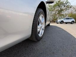 https://img.olx.com.br/thumbs256x256/62/626644804843543.jpg