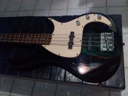 https://img.olx.com.br/thumbs256x256/62/627486495233180.jpg