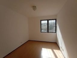 https://img.olx.com.br/thumbs256x256/62/627511882709801.jpg