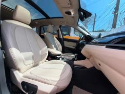 https://img.olx.com.br/thumbs256x256/62/627672675531631.jpg