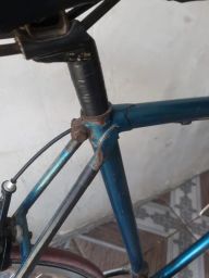 https://img.olx.com.br/thumbs256x256/62/628463080013420.jpg