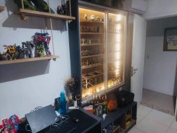 https://img.olx.com.br/thumbs256x256/62/628515523929292.jpg