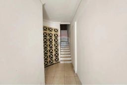 https://img.olx.com.br/thumbs256x256/62/629544402455124.jpg