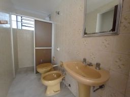 https://img.olx.com.br/thumbs256x256/62/629545285787351.jpg
