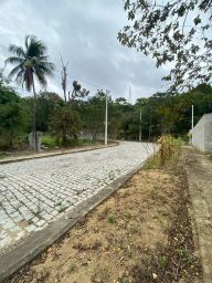 https://img.olx.com.br/thumbs256x256/62/629571217369693.jpg