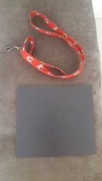 https://img.olx.com.br/thumbs256x256/62/629594368864880.jpg