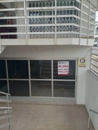 https://img.olx.com.br/thumbs256x256/63/632439692246409.jpg
