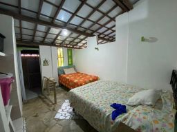 https://img.olx.com.br/thumbs256x256/63/633598166723538.jpg
