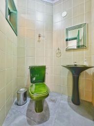 https://img.olx.com.br/thumbs256x256/63/636562638626569.jpg