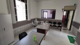 https://img.olx.com.br/thumbs256x256/63/638591408258473.jpg