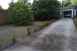 https://img.olx.com.br/thumbs256x256/63/639536515607469.jpg