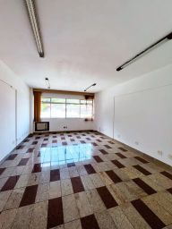 https://img.olx.com.br/thumbs256x256/63/639564289915135.jpg