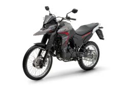 https://img.olx.com.br/thumbs256x256/64/640430342001860.jpg