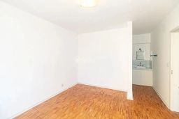 https://img.olx.com.br/thumbs256x256/64/640537763317455.jpg