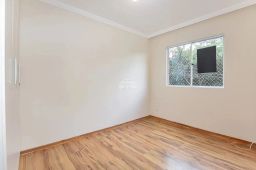 https://img.olx.com.br/thumbs256x256/64/640565756186295.jpg