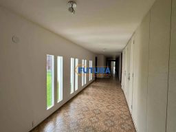 https://img.olx.com.br/thumbs256x256/64/640580762763806.jpg