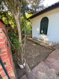 https://img.olx.com.br/thumbs256x256/64/641506529371762.jpg