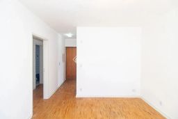 https://img.olx.com.br/thumbs256x256/64/641529289589559.jpg