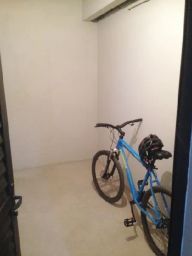 https://img.olx.com.br/thumbs256x256/64/641548265455108.jpg