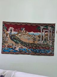 https://img.olx.com.br/thumbs256x256/64/641561631120160.jpg