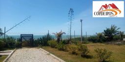 https://img.olx.com.br/thumbs256x256/64/642512648793274.jpg
