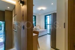 https://img.olx.com.br/thumbs256x256/64/642534031453853.jpg
