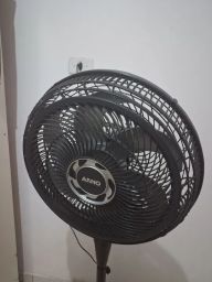 https://img.olx.com.br/thumbs256x256/64/643442955008955.jpg