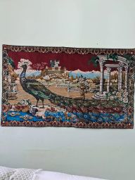 https://img.olx.com.br/thumbs256x256/64/643549517803948.jpg