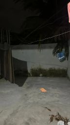 https://img.olx.com.br/thumbs256x256/64/644532643409022.jpg