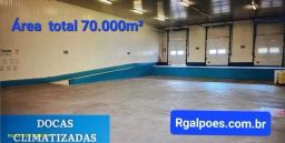 https://img.olx.com.br/thumbs256x256/64/644538398065170.jpg