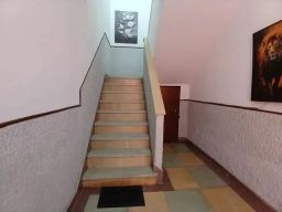https://img.olx.com.br/thumbs256x256/64/644563161856031.jpg