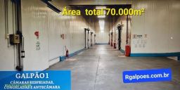 https://img.olx.com.br/thumbs256x256/64/644566397288197.jpg