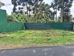https://img.olx.com.br/thumbs256x256/64/645465467865077.jpg