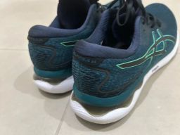 https://img.olx.com.br/thumbs256x256/64/645509049566866.jpg