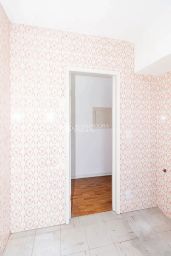 https://img.olx.com.br/thumbs256x256/64/645529761064737.jpg