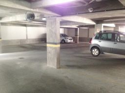 https://img.olx.com.br/thumbs256x256/64/645550384223233.jpg