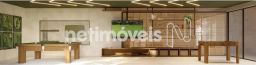 https://img.olx.com.br/thumbs256x256/64/645580768425034.jpg