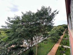 https://img.olx.com.br/thumbs256x256/64/646568882355936.jpg