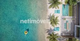 https://img.olx.com.br/thumbs256x256/64/646586885635560.jpg