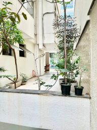 https://img.olx.com.br/thumbs256x256/64/646638449943254.jpg